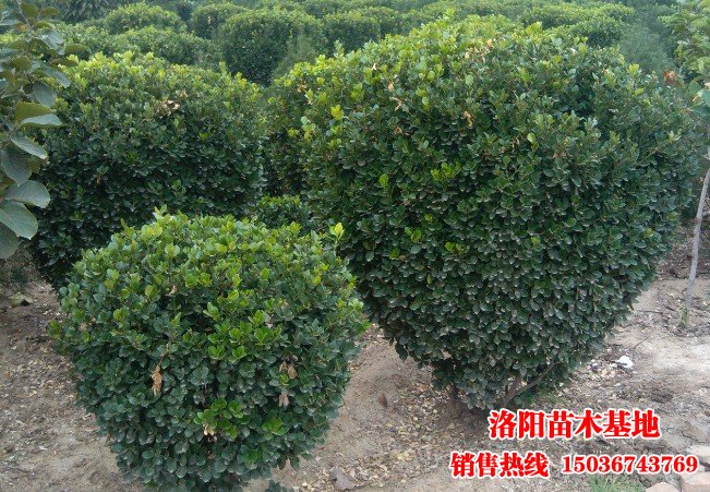 2m���~�S����