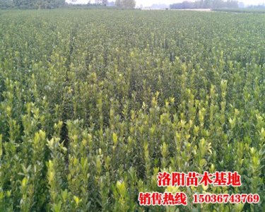 ������~�S��