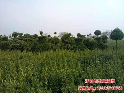 ���~�S��DƬ1