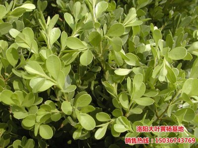 С�~�S���~ï