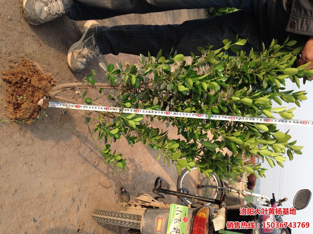 ���~�S��