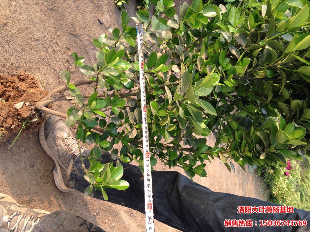 ���~�S��