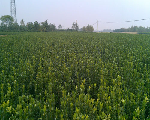 ���~�S��DƬ